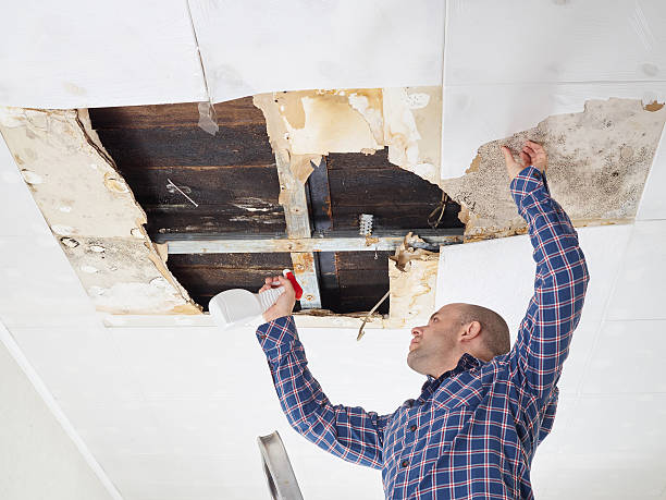 Best Mold Removal for HVAC Installations  in Tuba City, AZ